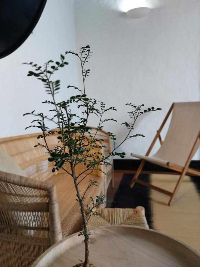 Casa Yooj Designers House In Teguise Apartment Teguise  Bagian luar foto